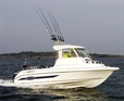 Crescent Salmon V23