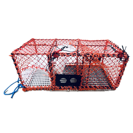 Hummertina Carapax Orange Rekangulär 10 kg