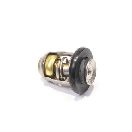 Mercury Original Termostat