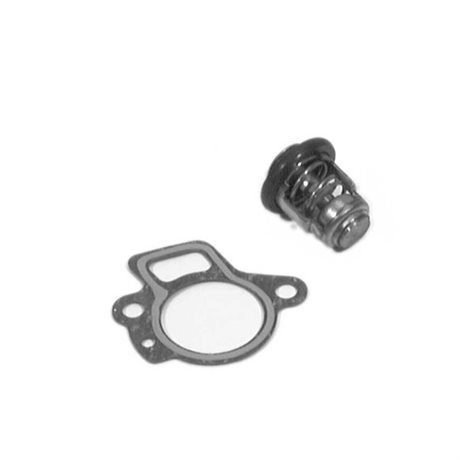 Mercury Original Termostat