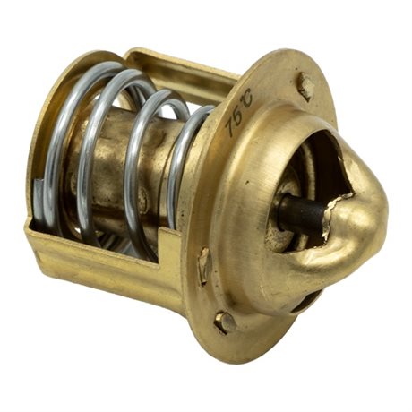 Termostat OEM 861911