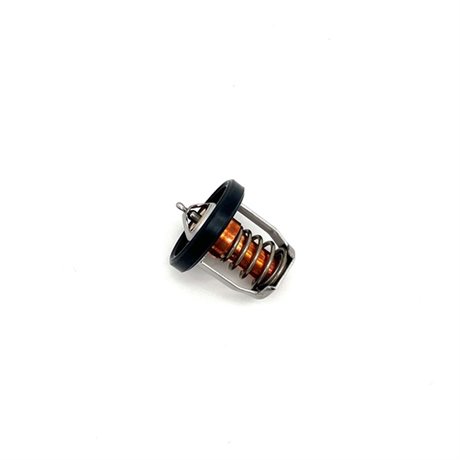 Suzuki Termostat 60 grader