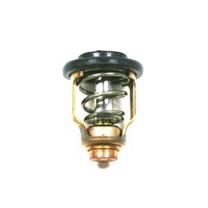 Suzuki Termostat 71 Grader