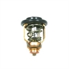 Suzuki Termostat 60 grader