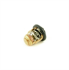 Yamaha Original Termostat